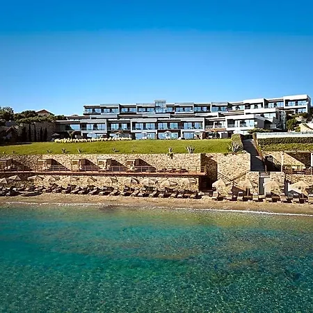 Lesante Blu - The Leading Of The World Planos